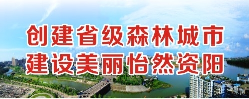 鸡巴操骚逼视频创建省级森林城市 建设美丽怡然资阳